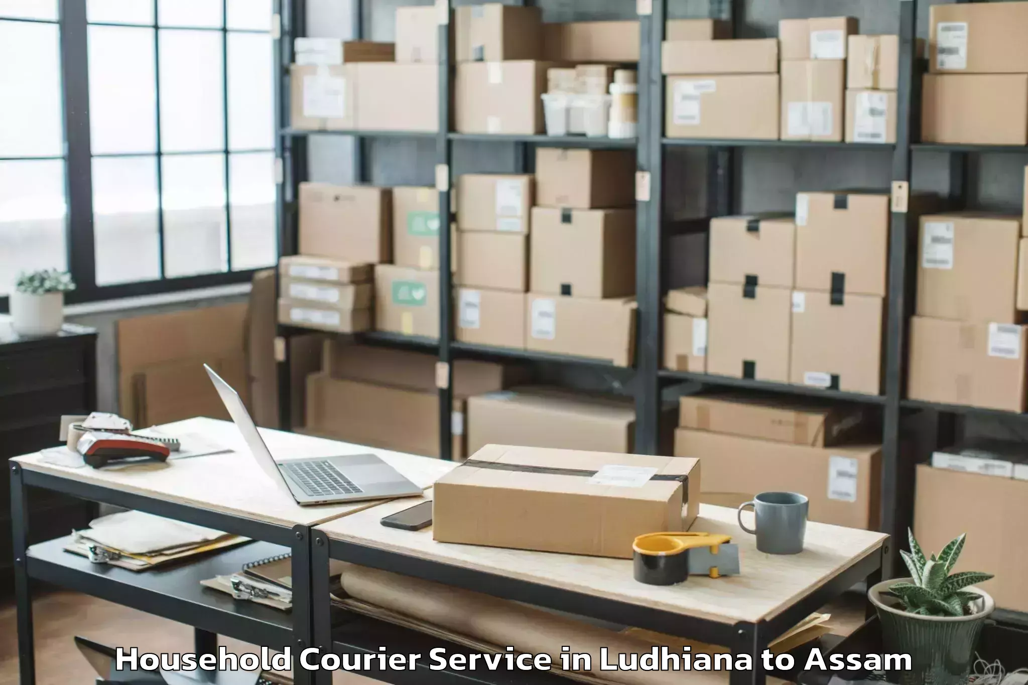 Reliable Ludhiana to Sorbhog Household Courier